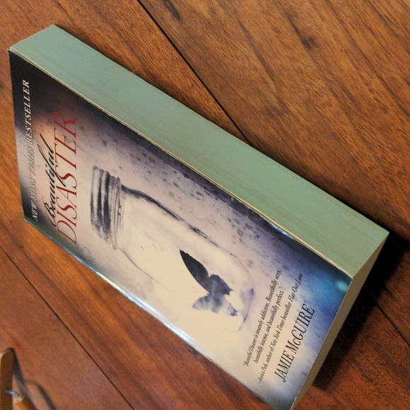 Beautiful Disaster Book - Picture 7 of 8